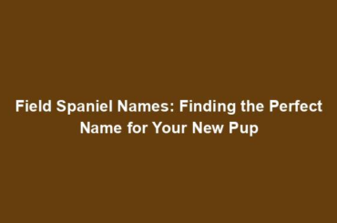 Field Spaniel Names: Finding the Perfect Name for Your New Pup