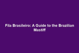 Fila Brasileiro: A Guide to the Brazilian Mastiff