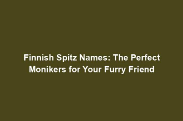 Finnish Spitz Names: The Perfect Monikers for Your Furry Friend