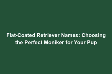 Flat-Coated Retriever Names: Choosing the Perfect Moniker for Your Pup