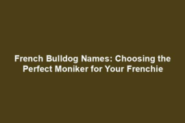 French Bulldog Names: Choosing the Perfect Moniker for Your Frenchie