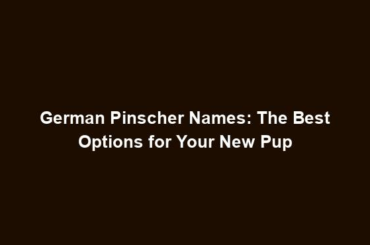 German Pinscher Names: The Best Options for Your New Pup