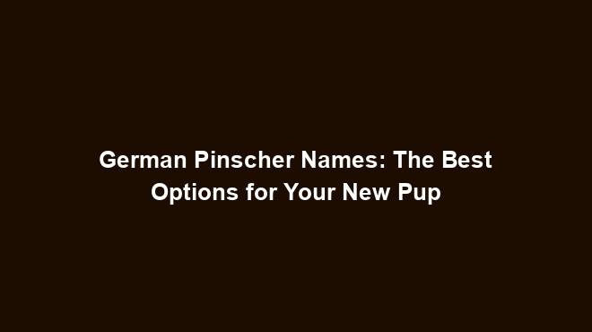 German Pinscher Names: The Best Options for Your New Pup