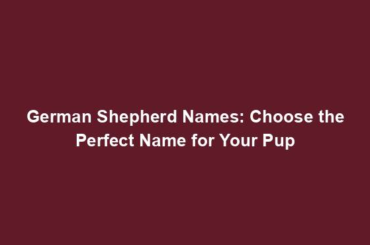 German Shepherd Names: Choose the Perfect Name for Your Pup