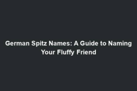 German Spitz Names: A Guide to Naming Your Fluffy Friend