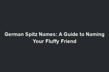 German Spitz Names: A Guide to Naming Your Fluffy Friend