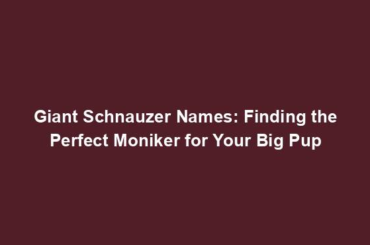 Giant Schnauzer Names: Finding the Perfect Moniker for Your Big Pup