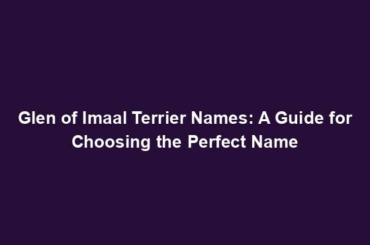 Glen of Imaal Terrier Names: A Guide for Choosing the Perfect Name