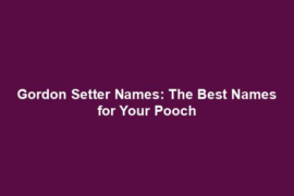 Gordon Setter Names: The Best Names for Your Pooch