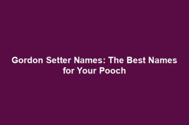 Gordon Setter Names: The Best Names for Your Pooch