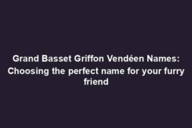 Grand Basset Griffon Vendéen Names: Choosing the perfect name for your furry friend