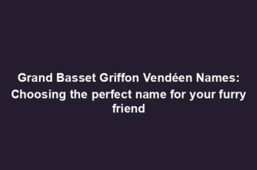 Grand Basset Griffon Vendéen Names: Choosing the perfect name for your furry friend