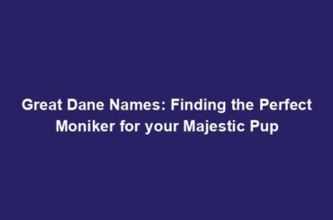 Great Dane Names: Finding the Perfect Moniker for your Majestic Pup