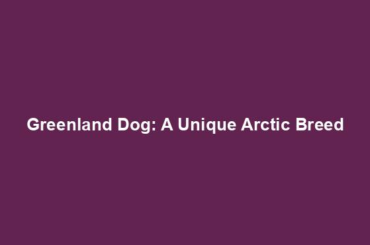 Greenland Dog: A Unique Arctic Breed