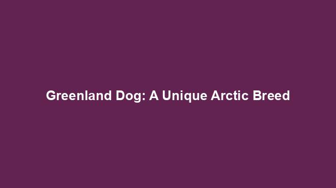 Greenland Dog: A Unique Arctic Breed