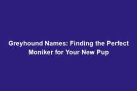 Greyhound Names: Finding the Perfect Moniker for Your New Pup