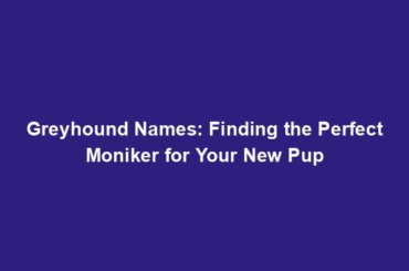 Greyhound Names: Finding the Perfect Moniker for Your New Pup