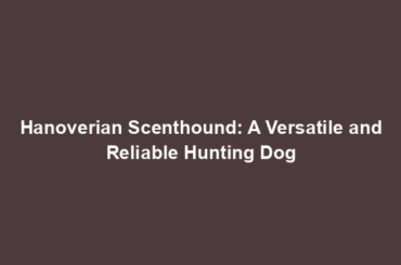 Hanoverian Scenthound: A Versatile and Reliable Hunting Dog