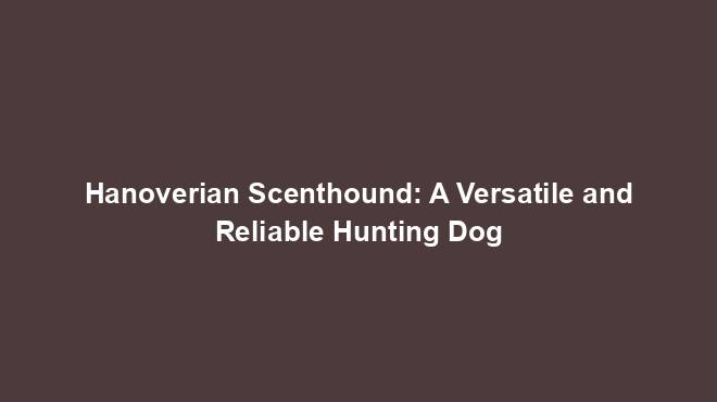 Hanoverian Scenthound: A Versatile and Reliable Hunting Dog