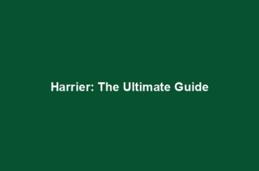 Harrier: The Ultimate Guide