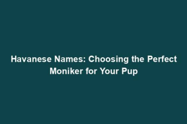 Havanese Names: Choosing the Perfect Moniker for Your Pup