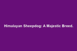Himalayan Sheepdog: A Majestic Breed.