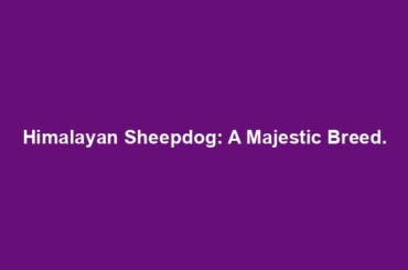 Himalayan Sheepdog: A Majestic Breed.