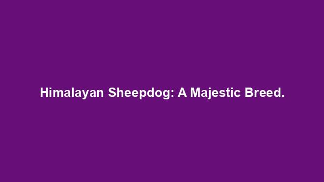 Himalayan Sheepdog: A Majestic Breed.