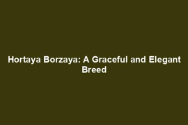 Hortaya Borzaya: A Graceful and Elegant Breed