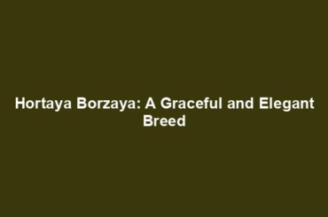 Hortaya Borzaya: A Graceful and Elegant Breed