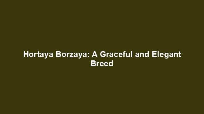 Hortaya Borzaya: A Graceful and Elegant Breed