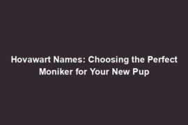 Hovawart Names: Choosing the Perfect Moniker for Your New Pup