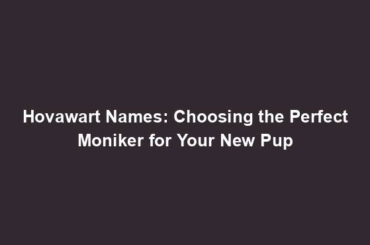 Hovawart Names: Choosing the Perfect Moniker for Your New Pup