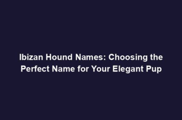 Ibizan Hound Names: Choosing the Perfect Name for Your Elegant Pup