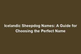 Icelandic Sheepdog Names: A Guide for Choosing the Perfect Name
