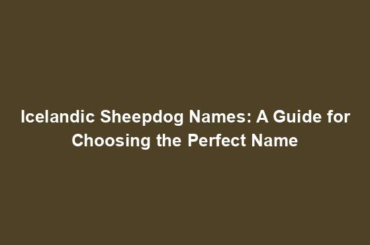 Icelandic Sheepdog Names: A Guide for Choosing the Perfect Name