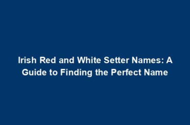 Irish Red and White Setter Names: A Guide to Finding the Perfect Name