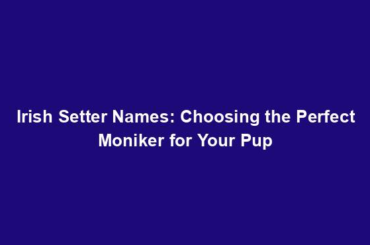 Irish Setter Names: Choosing the Perfect Moniker for Your Pup