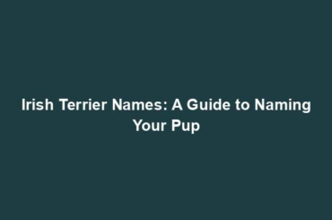 Irish Terrier Names: A Guide to Naming Your Pup