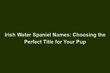 Irish Water Spaniel Names: Choosing the Perfect Title for Your Pup