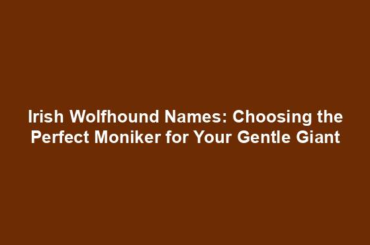 Irish Wolfhound Names: Choosing the Perfect Moniker for Your Gentle Giant