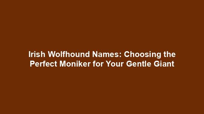 Irish Wolfhound Names Choosing The Perfect Moniker For Your Gentle Irish Wolfhound Names Choosing The Perfect Moniker For Your Gentle
