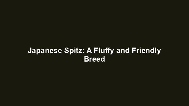 Japanese Spitz: A Fluffy and Friendly Breed