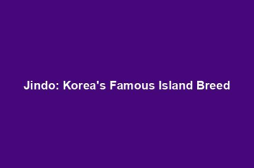 Jindo: Korea's Famous Island Breed