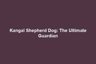 Kangal Shepherd Dog: The Ultimate Guardian