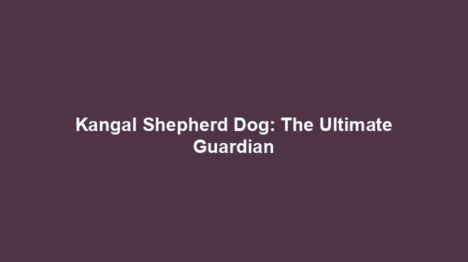 Kangal Shepherd Dog: The Ultimate Guardian