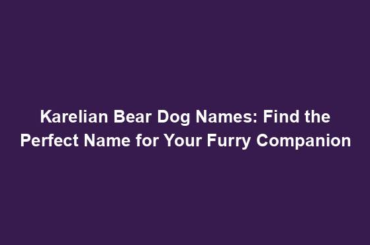 Karelian Bear Dog Names: Find the Perfect Name for Your Furry Companion