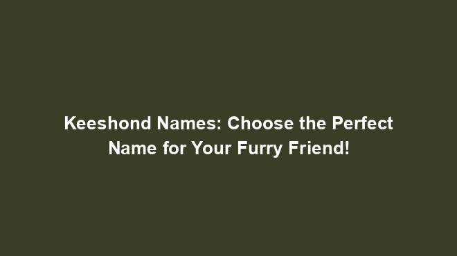 Keeshond Names: Choose the Perfect Name for Your Furry Friend!