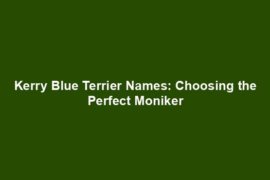 Kerry Blue Terrier Names: Choosing the Perfect Moniker