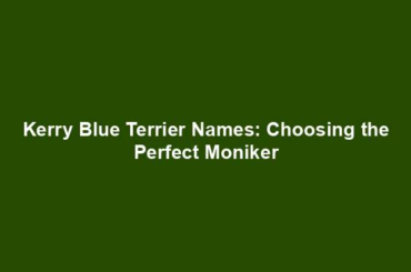 Kerry Blue Terrier Names: Choosing the Perfect Moniker